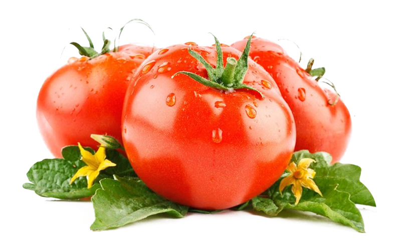 置顶信息二测试